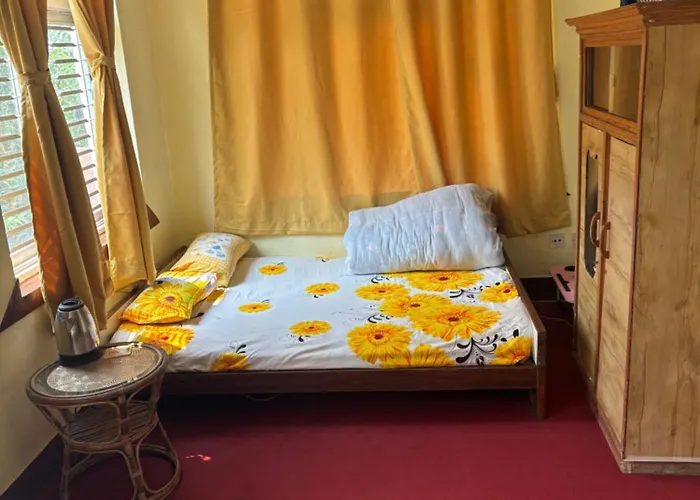 Osho Gaurishankar Meditation Center
